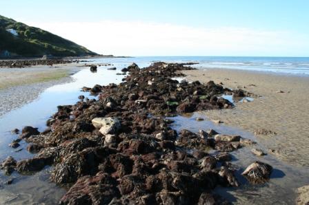 Fish trap exposed on Poppit Sands beach at low tide